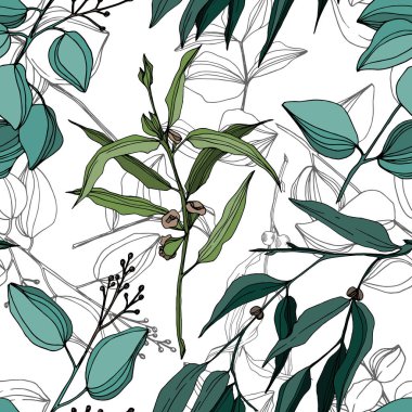 Vektör okaliptüs ağacı orman botaniğini terk eder. Siyah beyaz işlemeli mürekkep sanatı. Kusursuz arkaplan deseni.