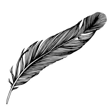 Kanattan izole edilmiş vektör kuş tüyü. Siyah beyaz işlemeli mürekkep sanatı. İzole edilmiş tüyler illüstrasyon ögesi.