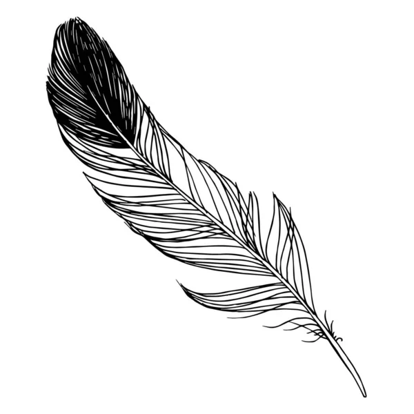 Vector bird feather from wing isolated. Black and white engraved ink art. Isolated feather illustration element. — Stock Vector