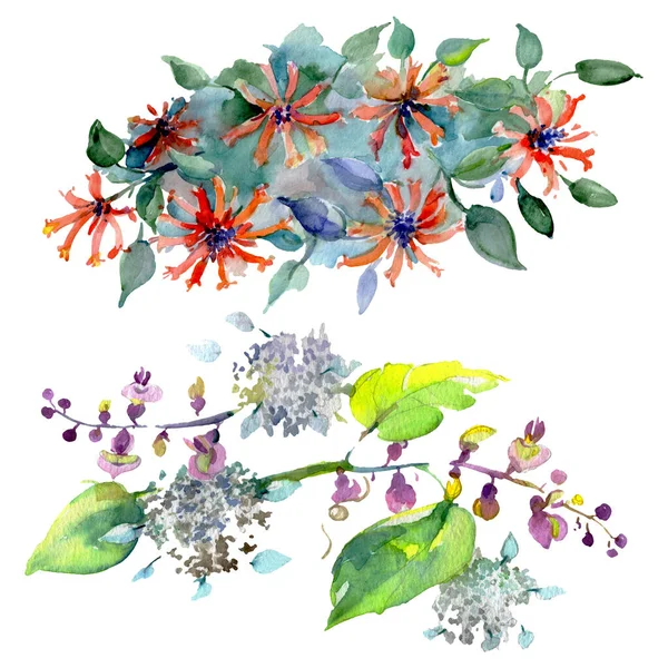 Boeket bloemen botanische bloemen. Aquarel achtergrond illustratie instellen. Geïsoleerde boeketten illustratie element. — Stockfoto