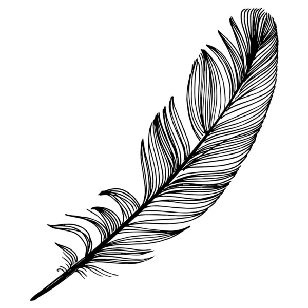 Vector bird feather from wing isolated. Black and white engraved ink art. Isolated feather illustration element. — Stock Vector