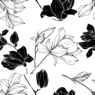 Vektör Magnolia çiçek botanik çiçekleri. Siyah beyaz işlemeli mürekkep sanatı. Kusursuz arkaplan deseni.