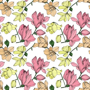 Vektör Magnolia çiçek botanik çiçekleri. Siyah beyaz işlemeli mürekkep sanatı. Kusursuz arkaplan deseni.