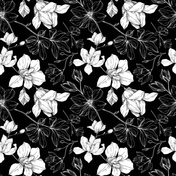 Vektör Magnolia çiçek botanik çiçekleri. Siyah beyaz işlemeli mürekkep sanatı. Kusursuz arkaplan deseni. — Stok Vektör