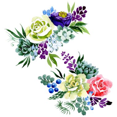 Buket çiçekli botanik çiçekleri. Suluboya arkaplan çizimi. İzole buketler ögesi.
