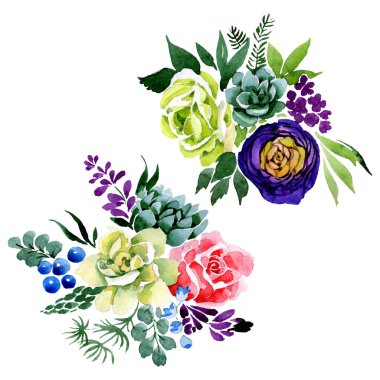Buket çiçekli botanik çiçekleri. Suluboya arkaplan çizimi. İzole buketler ögesi.