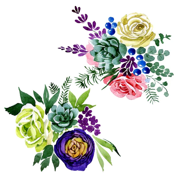 Buket çiçekli botanik çiçekleri. Suluboya arkaplan çizimi. İzole buketler ögesi.