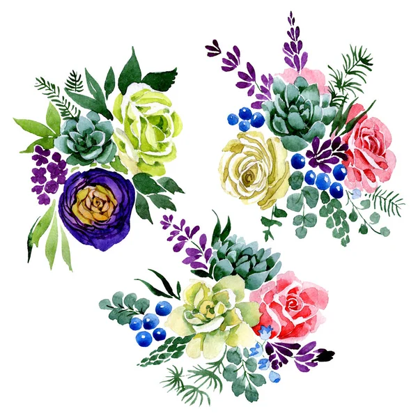 Ramo de flores botánicas florales. Conjunto de ilustración de fondo acuarela. Elemento de ramos aislados . — Foto de Stock