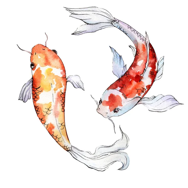 Aquatique sous-marin coloré ensemble de poissons tropicaux. Ensemble de fond aquarelle. Élément d'illustration isolé pour poissons rouges . — Photo