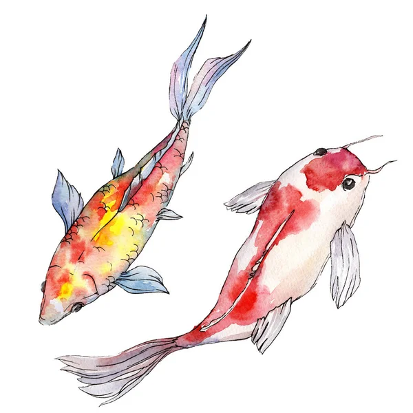 Vattenlevande undervattens färgglada tropiska fiskar set. Akvarell bakgrunden set. Isolerade guldfisk illustration element. — Stockfoto