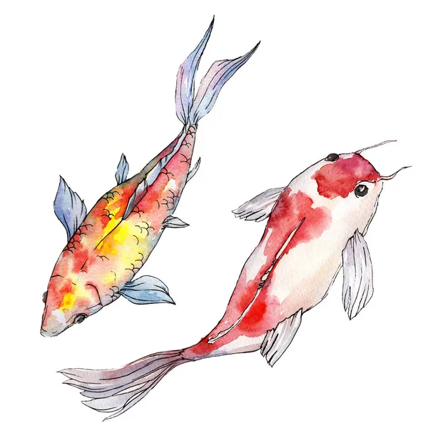 Aquatique sous-marin coloré ensemble de poissons tropicaux. Ensemble de fond aquarelle. Élément d'illustration isolé pour poissons rouges . — Photo