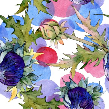 Devedikeni çiçekli botanik çiçekleri. Suluboya arkaplan çizimi. Kusursuz arkaplan deseni.