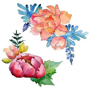 Çiçek kompozisyonu. Çiçek botanik çiçekleri. Suluboya arka plan seti. İzole buketleri illüstrasyon elemanı.