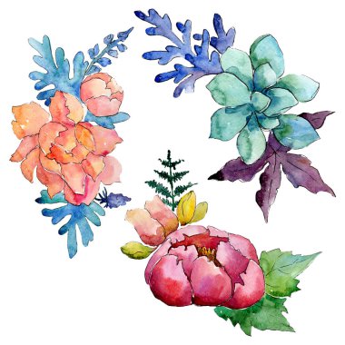 Çiçek kompozisyonu. Çiçek botanik çiçekleri. Suluboya arka plan seti. İzole buketleri illüstrasyon elemanı.
