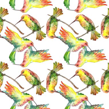 Bir vahşi yaşamda gökyüzü kuşu colibri. Suluboya arka plan illüstrasyon seti. Kesintisiz arka plan deseni.