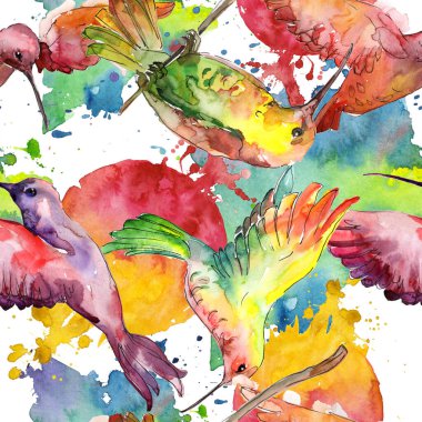 Bir vahşi yaşamda gökyüzü kuşu colibri. Suluboya arka plan illüstrasyon seti. Kesintisiz arka plan deseni.