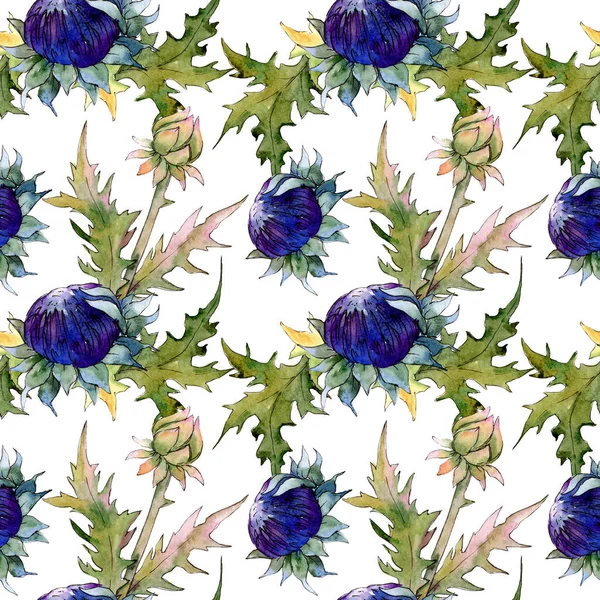 Thistle floral botanical flowers. Watercolor background illustration set. Seamless background pattern. — Stock Photo, Image