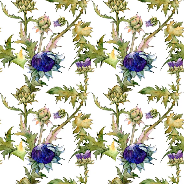 Chardon fleurs botaniques florales. Ensemble d'illustration de fond aquarelle. Modèle de fond sans couture . — Photo