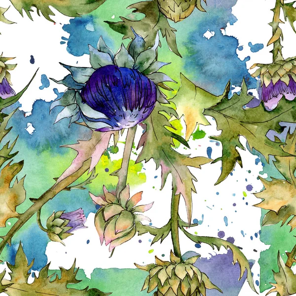 Чертополох цветочные ботанические цветы. Набор акварельных фонов. Бесшовный рисунок фона . — стоковое фото