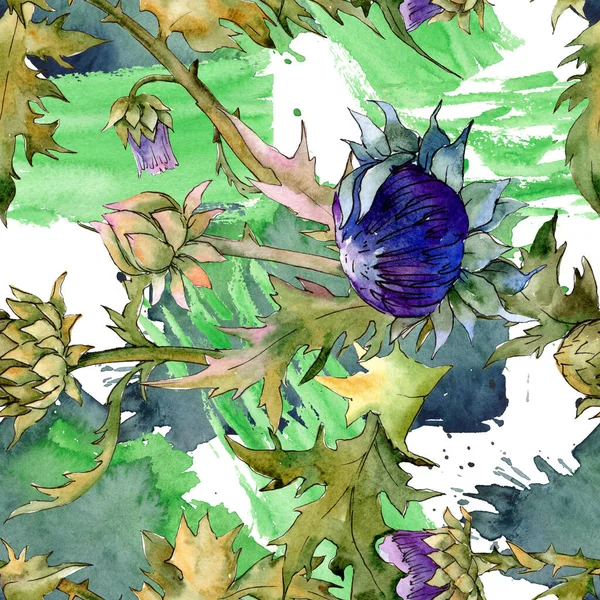 Cardo flores botánicas florales. Conjunto de ilustración de fondo acuarela. Patrón de fondo sin costuras . — Foto de Stock