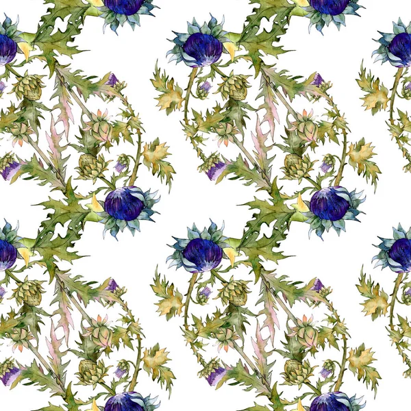Thistle blommiga botaniska blommor. Akvarell bakgrund illustration set. Sömlös bakgrund mönster. — Stockfoto