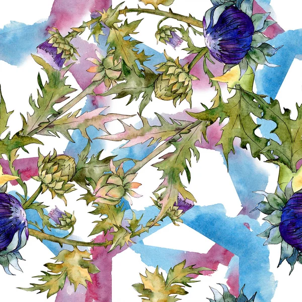Cardo flores botánicas florales. Conjunto de ilustración de fondo acuarela. Patrón de fondo sin costuras . —  Fotos de Stock