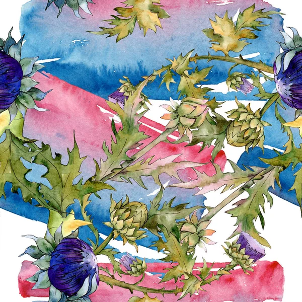 Cardo flores botánicas florales. Conjunto de ilustración de fondo acuarela. Patrón de fondo sin costuras . — Foto de Stock