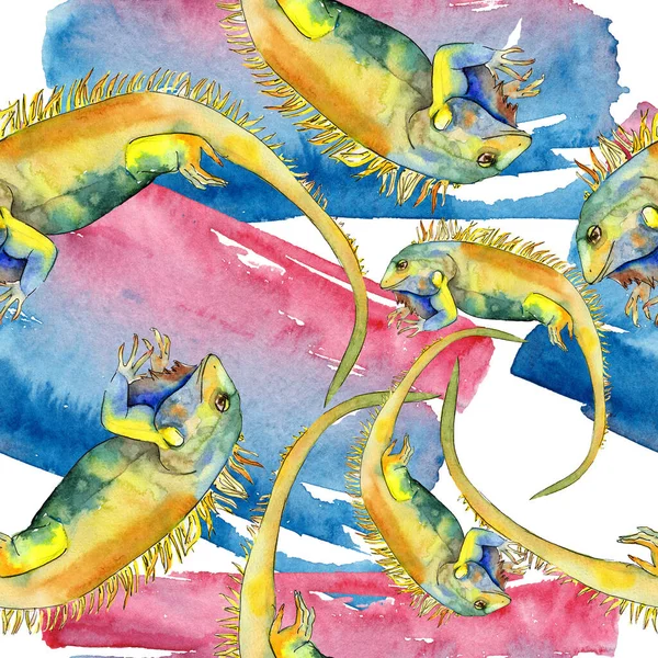 Iguana exótica animal salvaje. Conjunto de ilustración de fondo acuarela. Patrón sin costuras. Textura de impresión de papel pintado de tela . —  Fotos de Stock