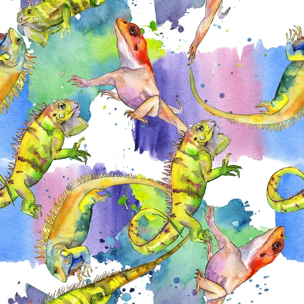 Iguana exótica animal selvagem. Conjunto de ilustração de fundo aquarela. Padrão sem costura. Tecido papel de parede impressão textura . — Fotografia de Stock