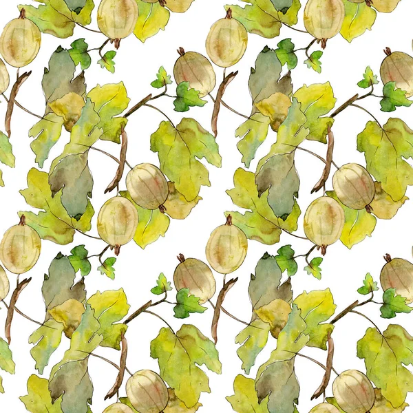 Gooseberry healthy food. Watercolor background illustration set. Seamless background pattern. — Stock Photo, Image