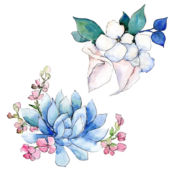 Bukiet Loral kwiatów botanicznych. Akwarela zestaw ilustracji tła. Element ilustracji na białym tle bukiety. — Zdjęcie stockowe