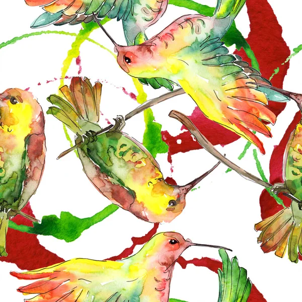 Niebo ptak Colibri w dzikiej przyrody. Akwarela zestaw ilustracji tła. Płynny wzór tła. — Zdjęcie stockowe