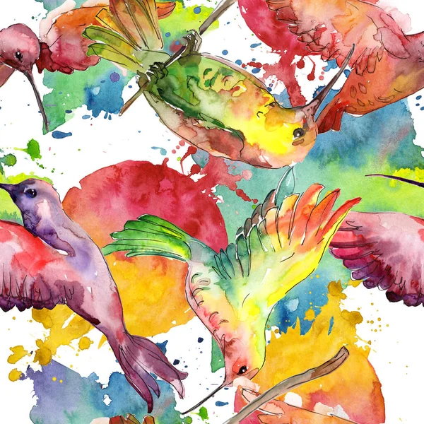 Sky bird colibri in a wildlife. Watercolor background illustration set. Seamless background pattern. — Stock Photo, Image