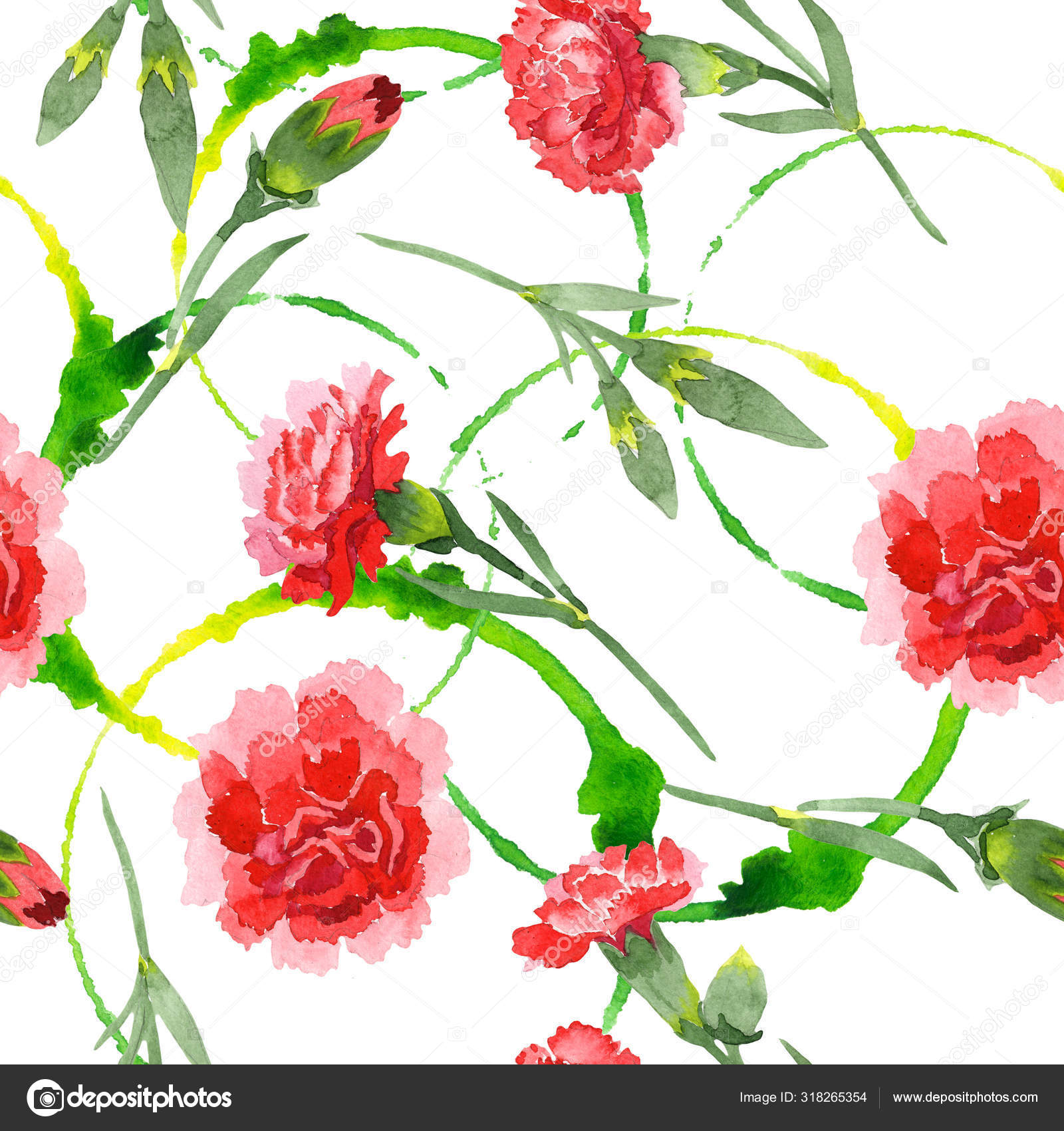 红花植物花 水彩背景插图集 无缝背景模式 图库照片 C Mystocks 红花植物花 水彩背景插图集 无缝背景模式 图库照片 C Mystocks