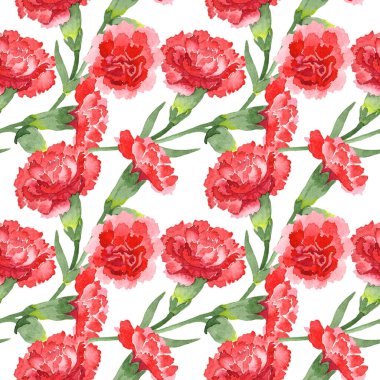 Kırmızı dianthus çiçek botanik çiçekler. Suluboya arka plan illüstrasyon seti. Kesintisiz arka plan deseni.