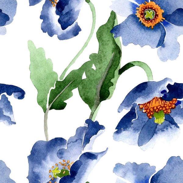 Сині макові квіткові ботанічні квіти. Набір ілюстрацій для акварельного фону. Безшовний візерунок тла . — стокове фото