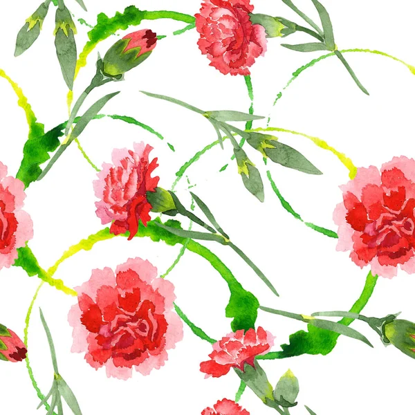 Röd Dianthus blommiga botaniska blommor. Akvarell bakgrund illustration uppsättning. Sömlöst bakgrundsmönster. — Stockfoto