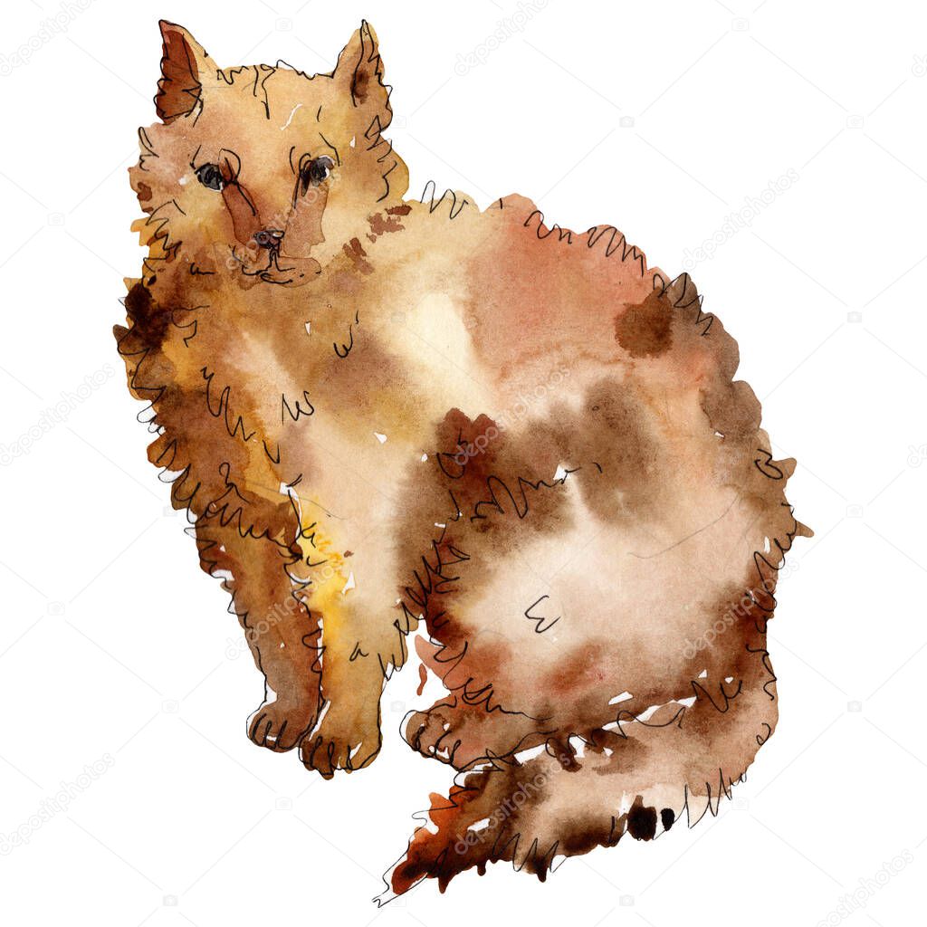 Cat pet animal isolated. Watercolor background illustration set. Isolated animal illustration element.