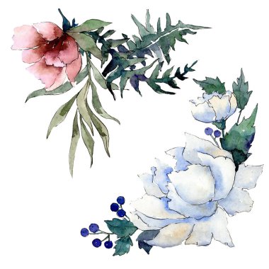 Buket çiçek botanik çiçekler. Suluboya arka plan illüstrasyon seti. İzole buketleri illüstrasyon elemanı.