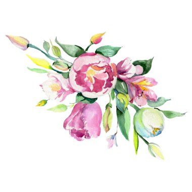 Lale çiçekli botanik çiçekleri. Suluboya arka plan seti. İzole edilmiş buket çizim ögesi.