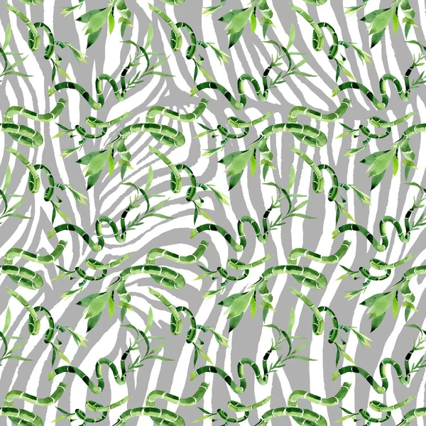 Zöld Draceana sanderiana. Akvarell háttér illusztráció meg. Folytonos háttérmintázat. — Stock Fotó