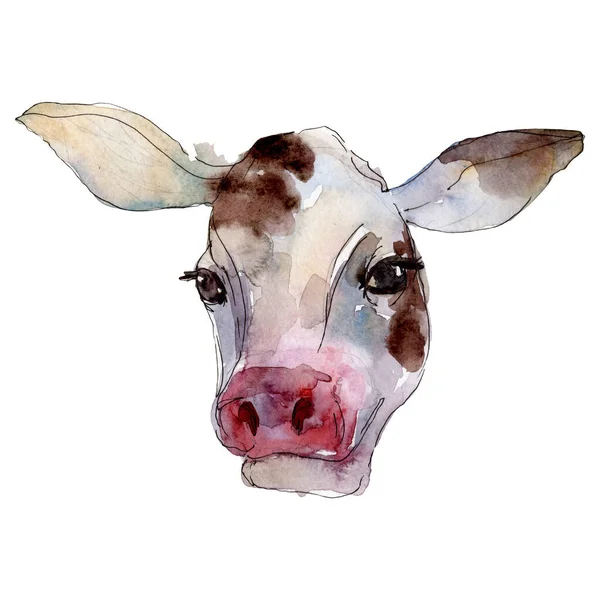 Cow Head gård djur isolerat. Akvarell bakgrund illustration uppsättning. Isolerad Ko illustration element. — Stockfoto