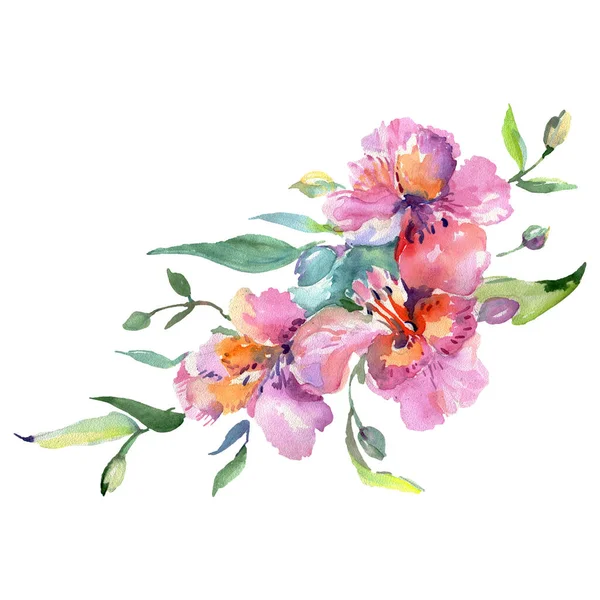 Iris bukiet kwiatowe kwiaty botaniczne. Zestaw tła akwareli. Izolowany element ilustracji bukiet. — Zdjęcie stockowe