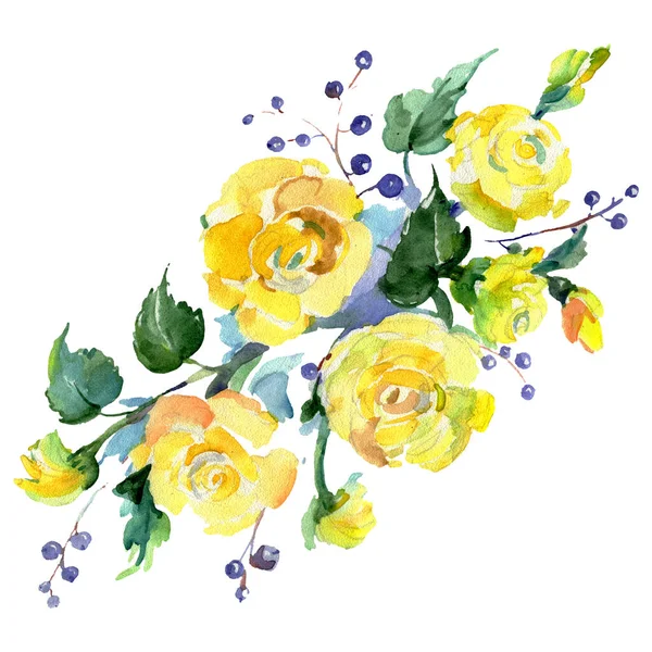 Ramo de rosas flores botánicas florales. Conjunto de fondo acuarela. Elemento de ilustración de ramo aislado . — Foto de Stock
