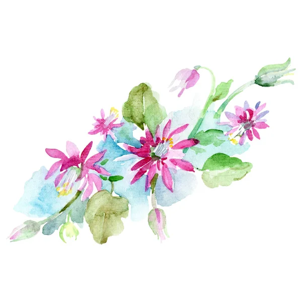 Bukiet kwiatowy kwiaty botanicznych. Zestaw ilustracji tle akwarela. Element ilustracja na białym tle bukiet. — Zdjęcie stockowe