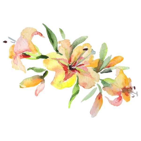오렌지 릴리 부케 꽃 모양의 식물상 꽃. 수채 색 배경 설정. 격지된 꽃다발 삽화 요소. — 스톡 사진