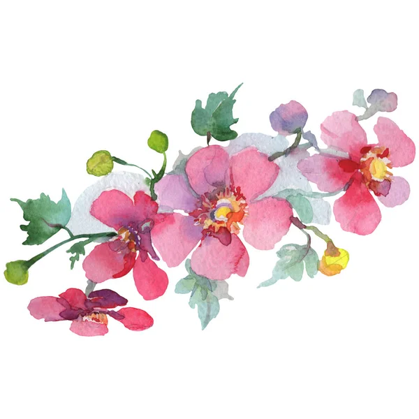 Květinové botanické květiny. Barevné pozadí. Izolované kytice, ilustrace prvku. — Stock fotografie