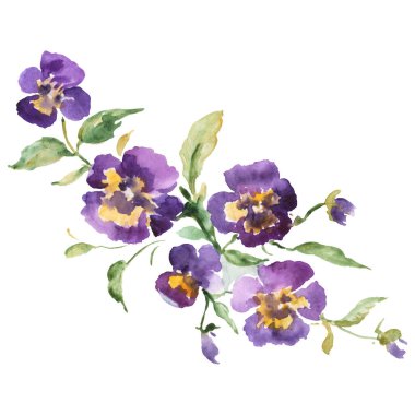 Buket çiçek botanik çiçekler. Suluboya arka plan illüstrasyon seti. İzole buketleri illüstrasyon elemanı.