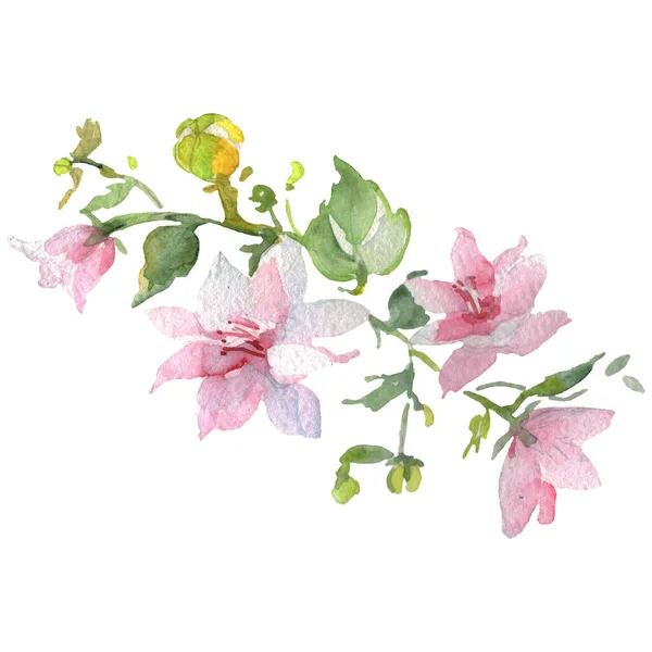 Ramo de flores botánicas florales. Conjunto de ilustración de fondo acuarela. Ramos aislados elemento de ilustración . — Foto de Stock