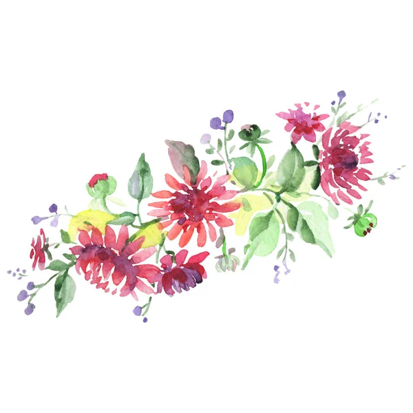 花束花植物の花。●水彩背景イラストセット。孤立した花束イラスト要素. — ストック写真